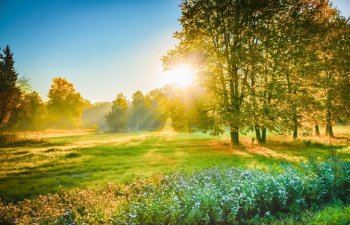 Aprel ayına olan hava proqnozu açıqlandı