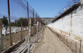 Azərbaycanda əfv sərəncamının icrasına başlanılıb