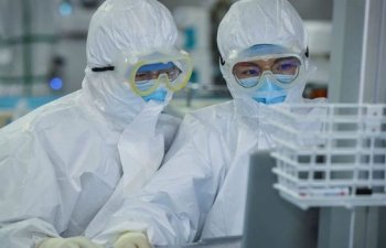 Dünyada iki növ koronavirus var