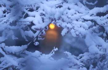 Azərbaycanın bu bölgəsinə qar yağıb: hava şaxtalıdır