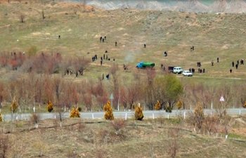 Şahbuz rayonunda yeni üzüm bağı salınıb