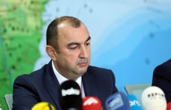 Ekologiya və Təbii Sərvətlər nazirinə yeni müavin təyin edilib