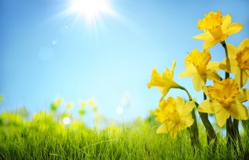 Bakıda temperatur iqlim normasından yuxarı olub