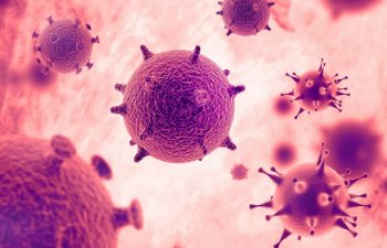 Alimlər: Koronavirus yüksək istilikdə də yaşayır