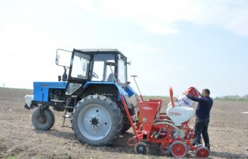 Tərtər pambıqçıları 2020-ci təsərrüfat ilini də uğurla başa vurmağı hədəfləyiblər