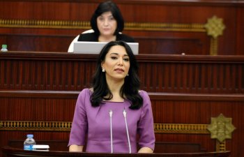 Milli Məclis Ombudsmanın illik məruzəsini qəbul edib