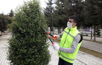 DOST İş Mərkəzi vasitəsilə ödənişli ictimai işlərə cəlb olunanların sayı AÇIQLANIB