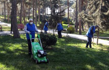Son 10 gündə əlavə olaraq 18 min ödənişli ictimai iş yeri yaradılıb