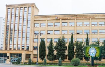 Bu rayonda Regional Meşə Təsərrüfatı Mərkəzinin direktoru işdən çıxarılıb