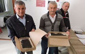 Dağlıq ərazilərdə yerləşən rayonların kümçülərinə ipəkqurdları paylanılır