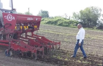 Ağcabədidə çiyid səpini davam edir - bu günədək 10 min hektardan çox sahədə səpin aparılıb