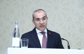 Mikayıl Cabbarov: Ödənilən verginin hər 4 manatından 3 manatı özəl sektor tərəfindən ödənilir