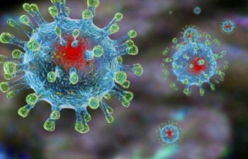 Alimlər koronavirusdan ölüm hallarına genetikanın təsirini araşdırıblar