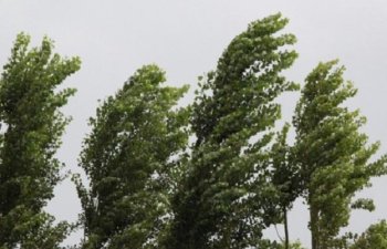 Xəbərdarlıq: Temperatur enəcək, güclü külək əsəcək