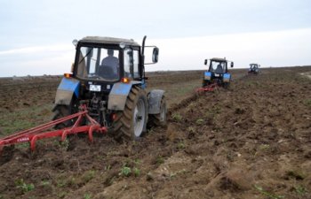 Ağsuda yay şumuna 40-dək traktor cəlb olunub