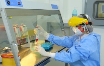 Koronavirus beyinə necə yayılır? - ARAŞDIRMA