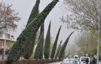 Temperatur 5-7 dərəcə enəcək, külək güclənəcək