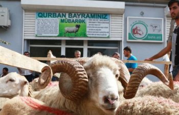 Azərbaycanda Qurban bayramı qeyd olunur