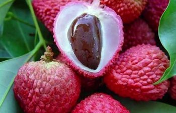 Bu meyvəni yeyin, təzyiqdən xilas olun