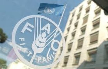 FAO Azərbaycanın şimal-qərbində kiçik aqrobiznesə dəstək layihəsinə başlayır