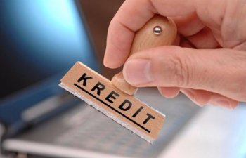 Elektron Kredit Platforması sahibkarlar üçün yaratdığı imkanlar