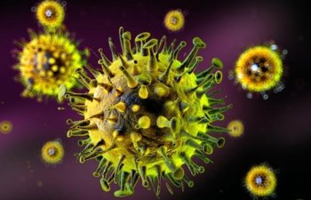 Koronavirus xəstələrinin sürətlə sağlamasına nə kömək edir?