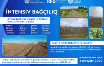 “Sosial Bağlar” layihəsinə cəlb olunmaq üçün  müraciətlərin qəbulu davam edir