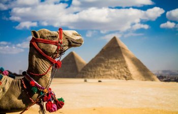 Misir piramidaları açaraq ölkəyə turist axınını artırmaq istəyir
