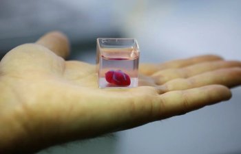 Alimlər laboratoriya şəraitində kiçik insan ürəkləri yarada bilib