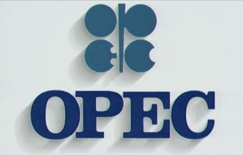 Azərbaycan avqustda “OPEC plus” üzrə öhdəliyini artıqlaması ilə yerinə yetirib