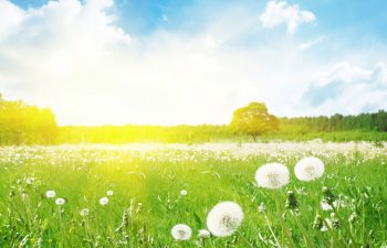 Bilik günündə hava belə olacaq – PROQNOZ