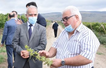 Aqrar sığorta mexanizminin tətbiqi ilə bağlı fermerlərlə görüşlərə başlanılıb