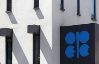 OPEC: Neft bazarında 2021-ci ilə qədər cüzi canlanma olacaq