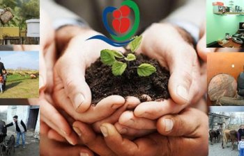 Banklar cəbhə bölgəsində özünüməşğulluq proqramı iştirakçılarına aktivlər təqdim edir