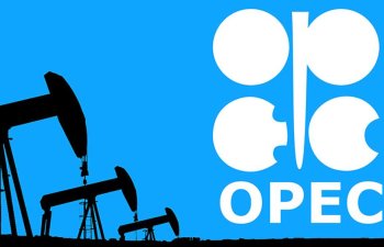 OPEC-in baş katibi: Bu il qlobal neft tələbatı sutkada 9,5 milyon barrel azalacaq