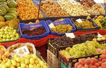 Qidalardakı zərərli qatqılar