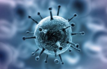 Koronavirus əqli zəifliyə səbəb ola bilər