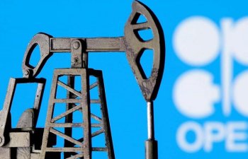 OPEC Plusun hesabatı