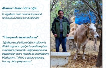 İşğaldan azad olunan yurd yerlərinə kiçik biznesləri ilə  qayıtmağa hazırlaşırlar