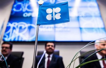 OPEC-in neft istehsalı artıb