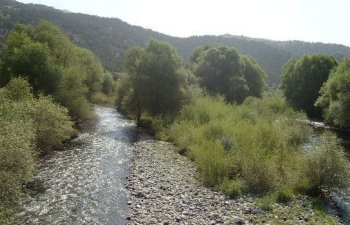 İşğaldan azad olunmuş ərazilərdə yerli strukturlar fəaliyyətə başladı - RƏSMİ