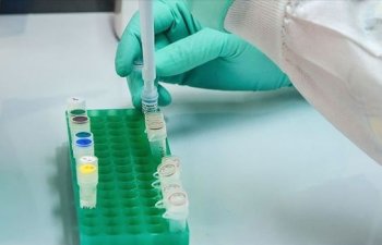 Dünyada son sutkada 600 minə yaxın insan koronavirusa yoluxub