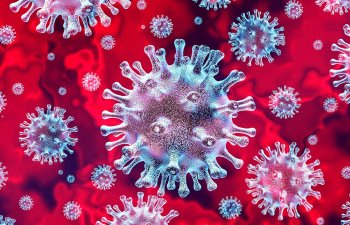 Количество случаев COVID-19 в мире превысило 63,5 млн