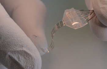 Onurğa beyini implantını 3D çapı vasitəsilə həyata keçirmək olar