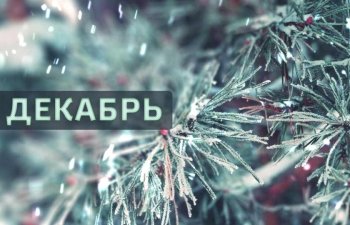Что случилось этой ночью: суббота, 12 декабря
