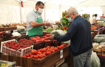 Bakı və Abşeronda “Kənddən Şəhərə” Qış yarmarkası keçiriləcək 