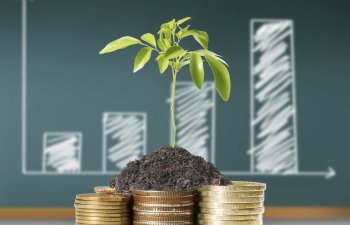 Azərbaycanda iqtisadiyyata qeyri-dövlət sektorunun sərmayədarlarının qoyduğu investisiyanın həcmi AÇIQLAMIB