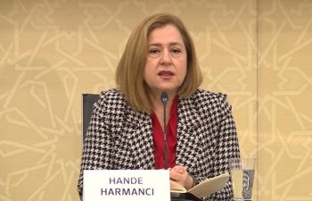 ÜST nümayəndəsi: Qarşıdakı 3 ay çox kritikdir