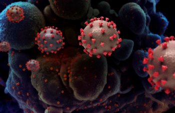 Azərbaycanda mutasiyaya uğramış virus qeydə alınsa hansı addımlar atılacaq?