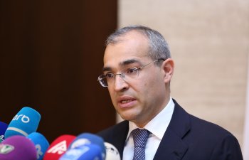  Mikayıl Cabbarov: 811 sahibkara 112 milyon manat güzətşli kredit verilib 